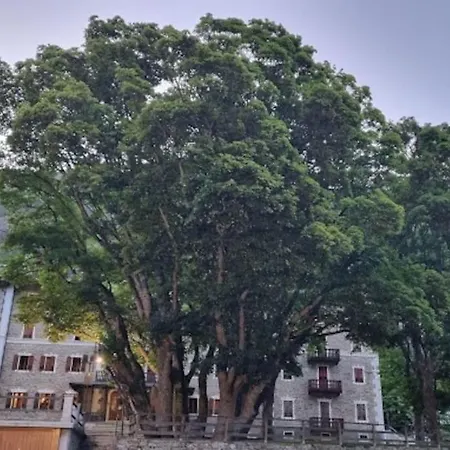 Lägenhet E Del Re E Della Regina - Grand Ceresole Reale